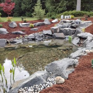 Oasis Series $12-15K