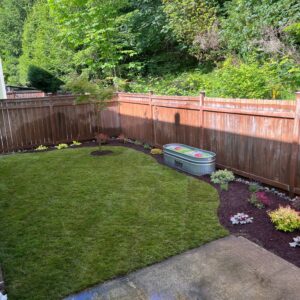Small Grass Lawn $6-11K