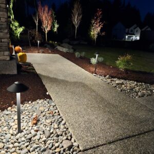 Small Lighting Package $3-4K