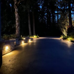 Medium Lighting Package $5-7K