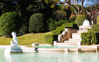 Upgrade Your Landscape with Stunning Water Features