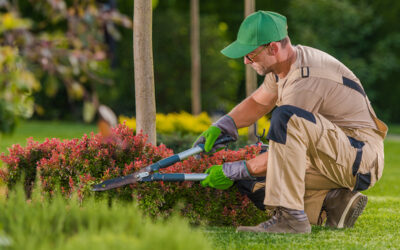 Top Reasons Why You Need to Hire a Landscape Contractor