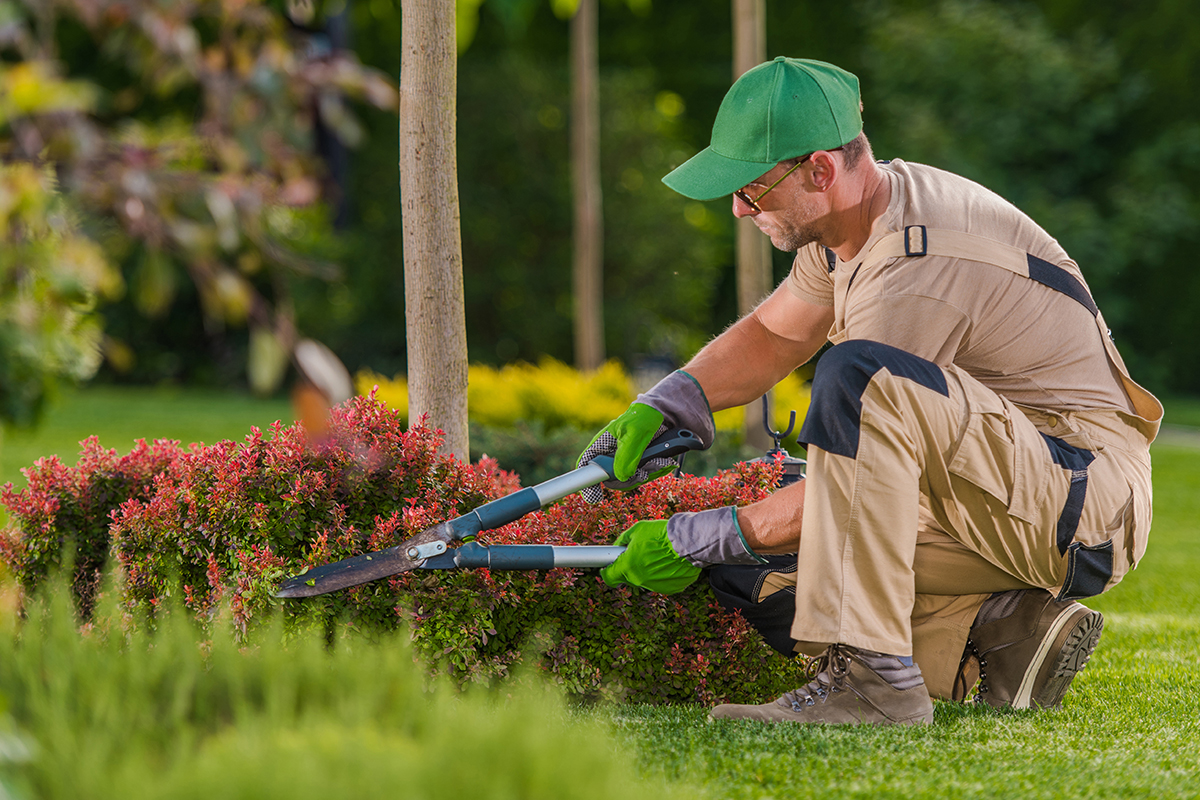 Top Reasons Why You Need to Hire a Landscape Contractor