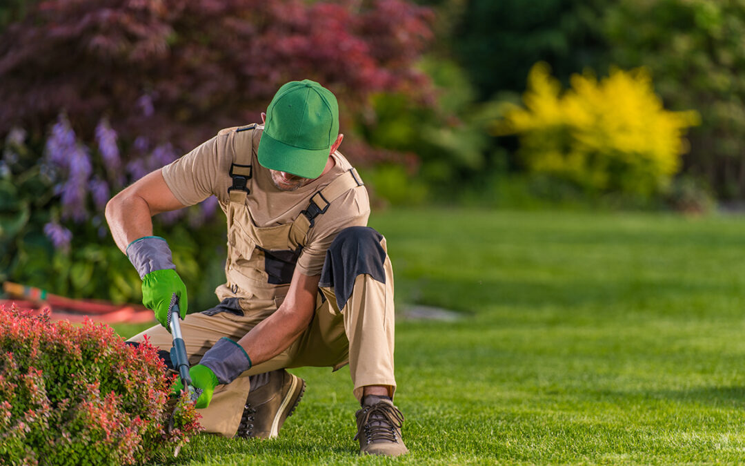 Hiring a Professional Landscaper vs. DIY Water Feature Installation