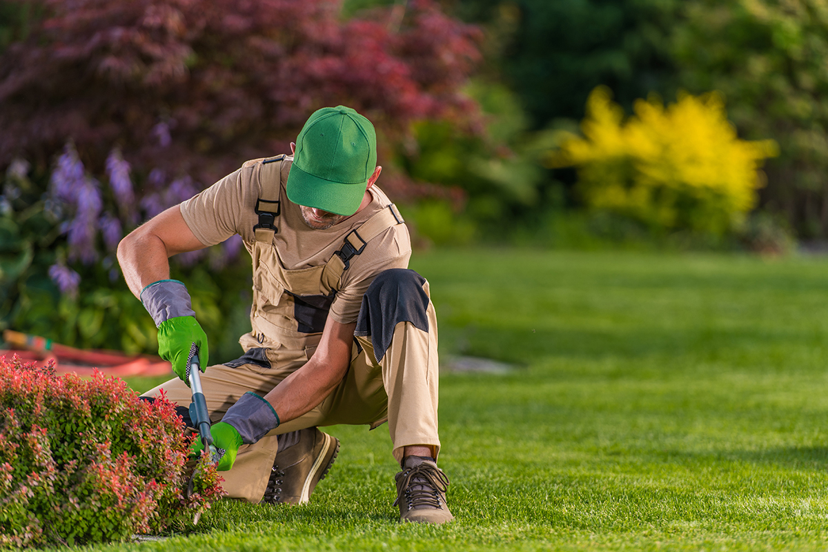 Hiring a Professional Landscaper vs. DIY Water Feature Installation