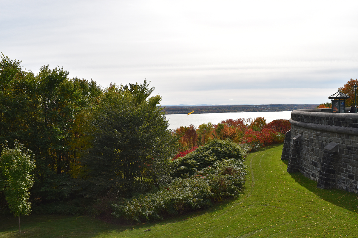 Your One-Stop Gig Harbor Landscaping Company