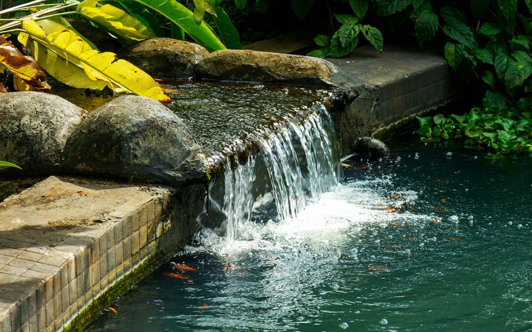Sustainable Luxury: Discover Eco-Friendly Water Features for Your Home