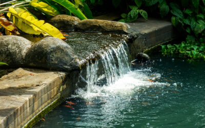 Sustainable Luxury: Discover Eco-Friendly Water Features for Your Home