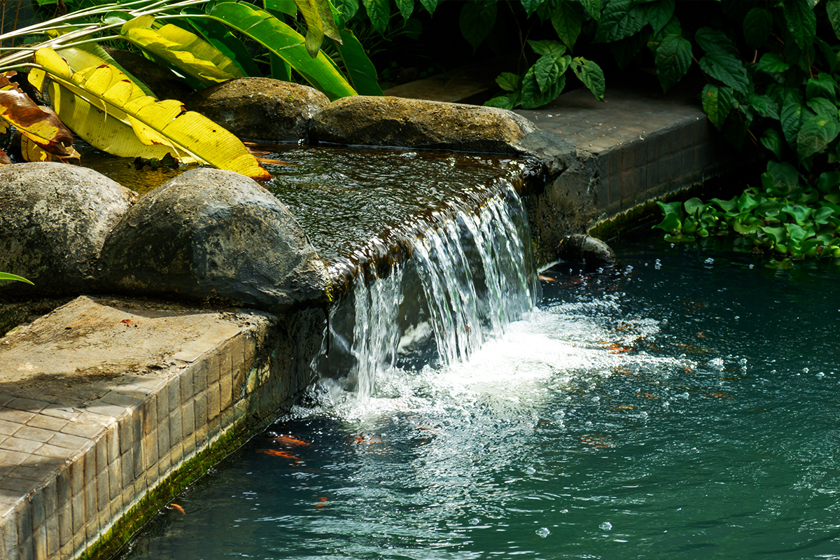Water Features
