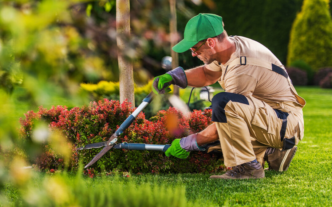 Landscape Contractors: Why is Experience Important?