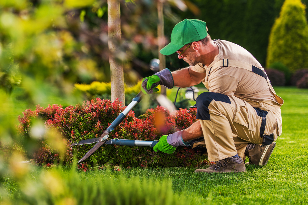 Landscape Contractors