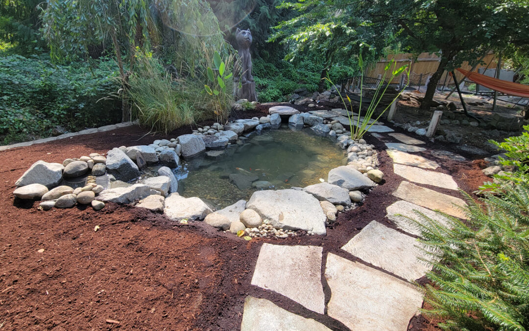 How Much Does a Backyard Pond Cost?