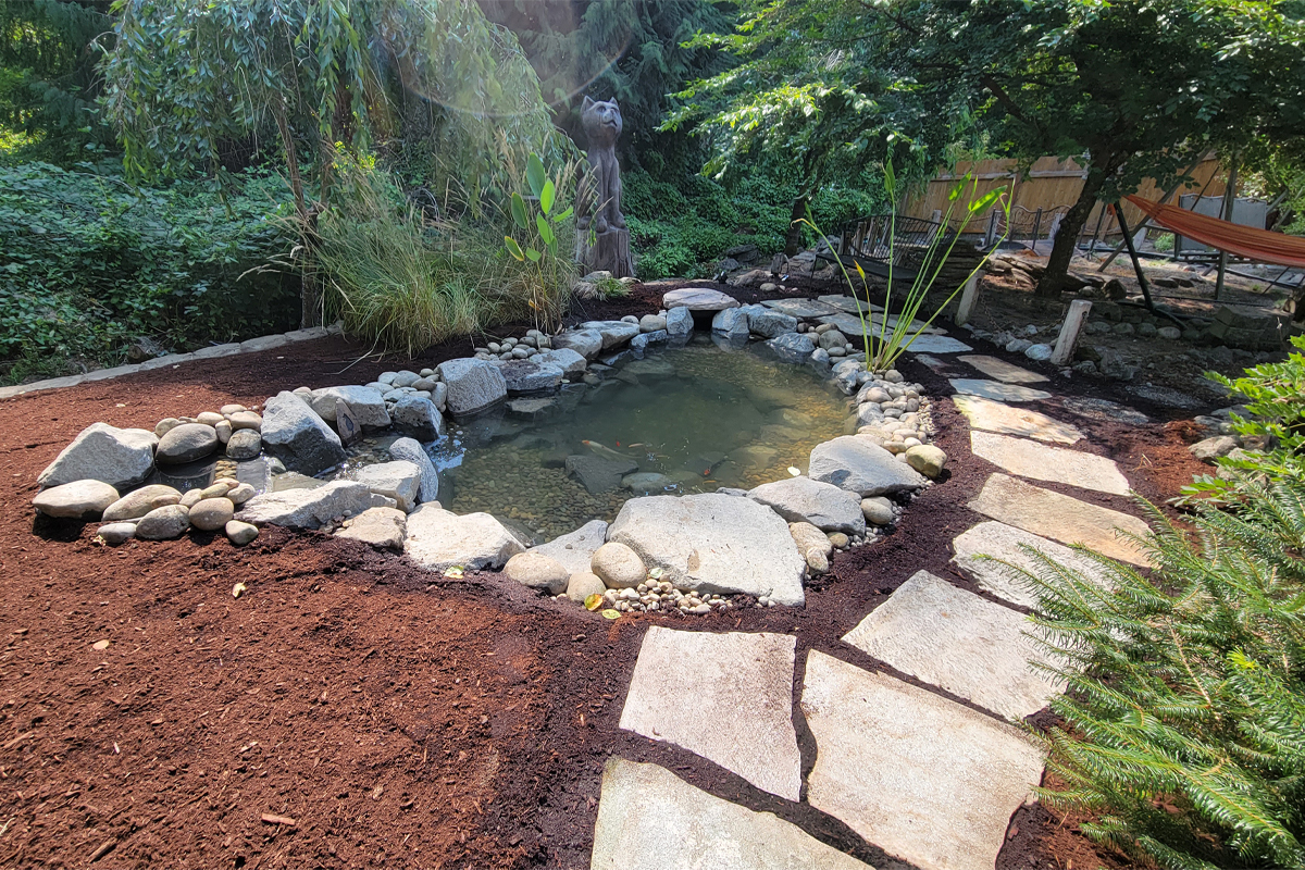 pond