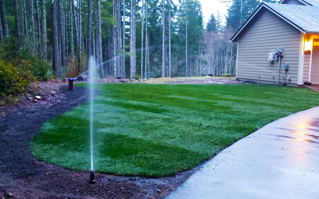 The Dilemma Every Homeowner Faces