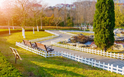 Custom Landscaping Services to Create the Outdoor Oasis of Your Dreams