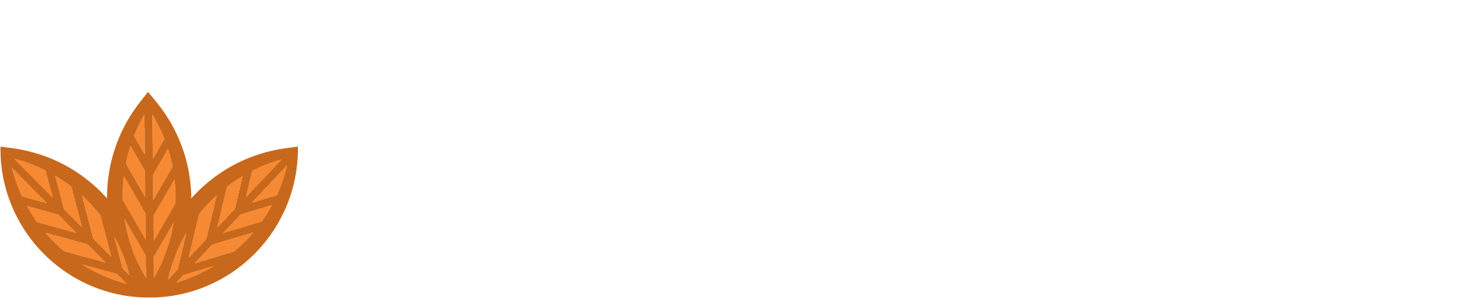 footerlogo