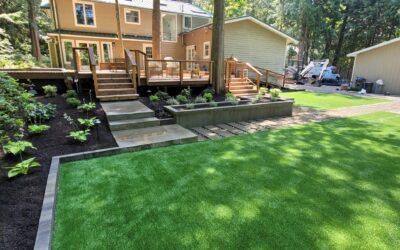 Artificial Turf vs. Natural Grass: Which Is Better for Your Yard?