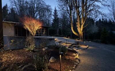 Why Fall Is the Best Time of Year to Install Low Voltage Landscape Lighting