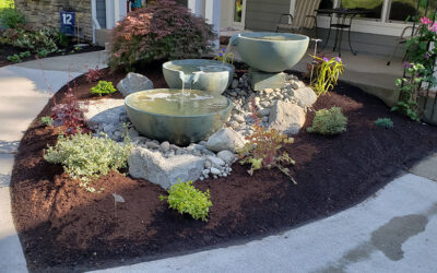 The Drawbacks of Low-Cost Landscaping Services: What to Watch For