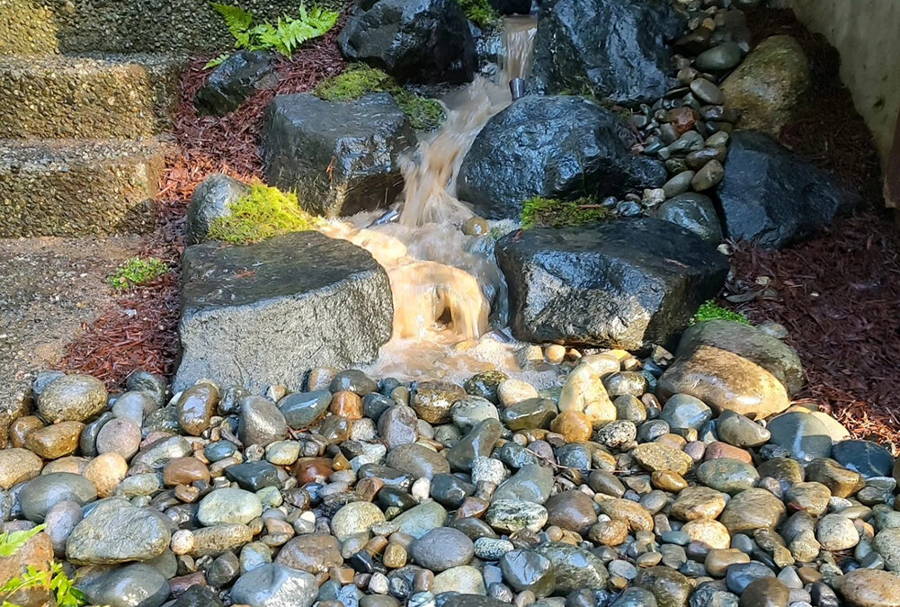 Pond vs. Pondless Waterfall: What’s the Difference?