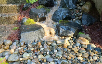 Pond vs. Pondless Waterfall: What’s the Difference?