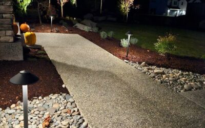 Landscape Lighting: Low Voltage vs. Solar — Which is Better for Your Yard? (And why it’s probably Low Voltage)