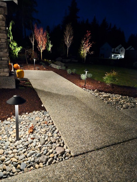Landscape Lighting: Low Voltage vs. Solar — Which is Better for Your Yard? (And why it’s probably Low Voltage)
