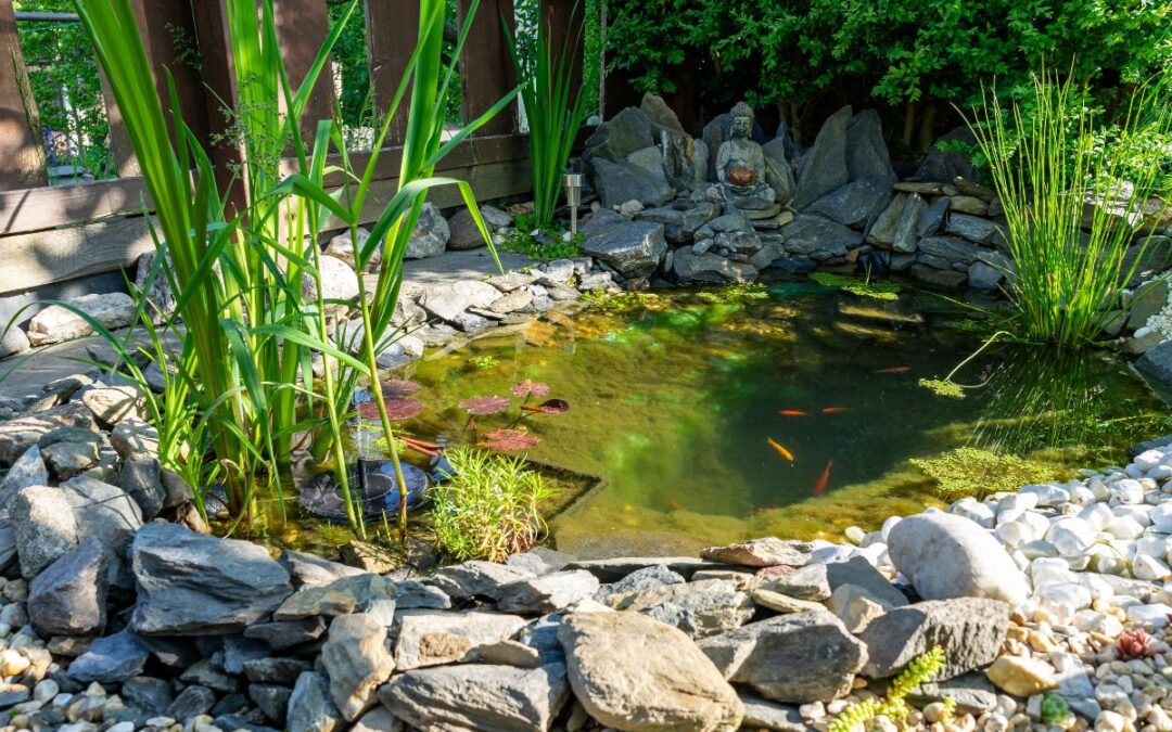 How to Prevent and Treat Common Garden Pond Problems? 