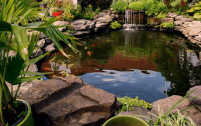 Why Every Garden Needs a Pond – Benefits, Costs & Easy Installation
