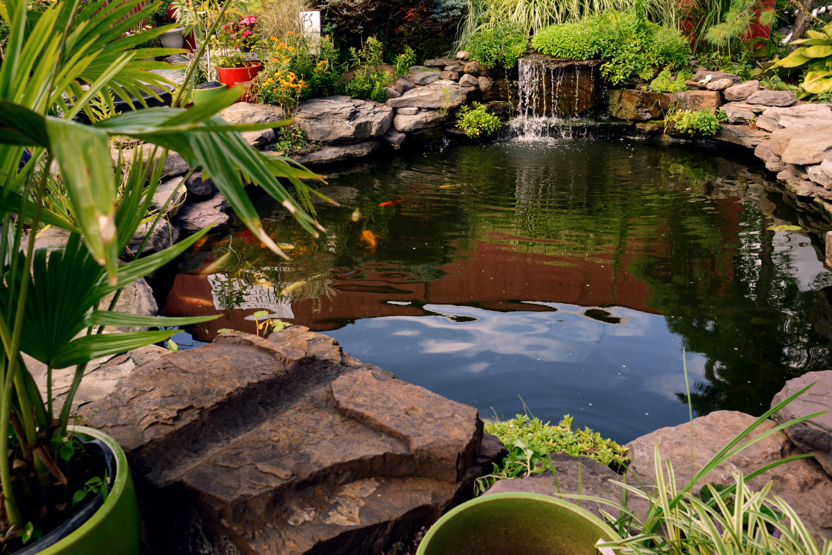Garden Ponds
