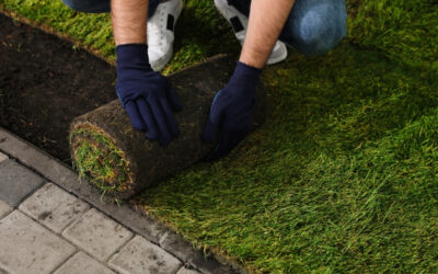 What to Expect From a Professional Artificial Turf Installation: Timeline, Process, and Results
