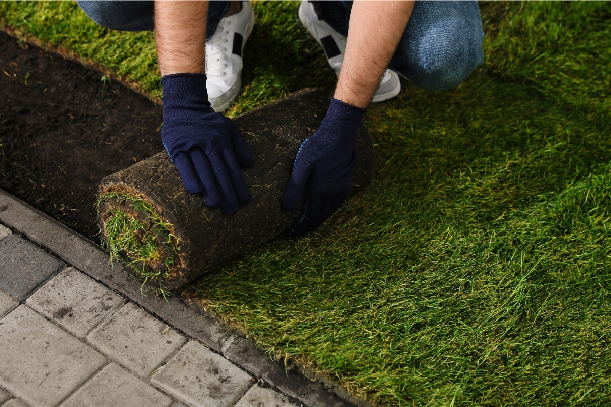 Artificial Turf Installation